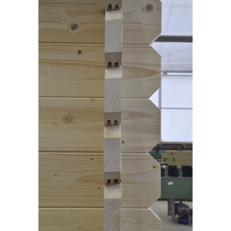 Gartenhaus, Gerätehaus – 6x6 m mit Anbau 6x5.72 m - 48 m²