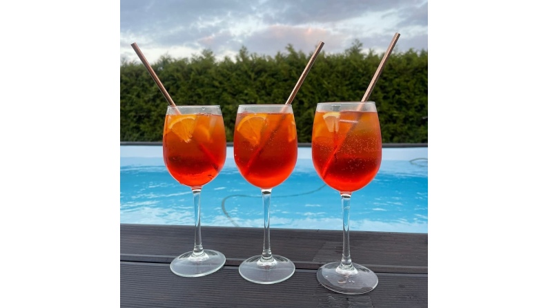 Holzpool Aqua 4.65x2.85 - H.1.24 m mit einzubetonierendem Profil